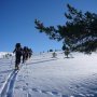 Bonne neige en vue !
