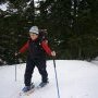 Isabelle, à l'abri dans la forêt