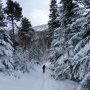 2015-02-01—11_27_54-Multi-activites