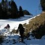 Alpage suisse