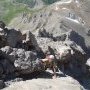 DSCN0565