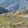 800-IMG_8724