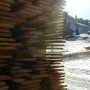 Les tas de bois des scieries : on est en Suisse