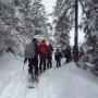 2016-02-13—12_46_46-Initiation-Larche