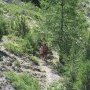 2015-08-02—10_18_54-Camp-ete-Ubaye