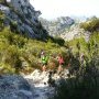 2015-04-12—11_13_03-brevet-2015