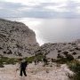 2015-02-07—11_30_12-Palee